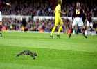 Villareal-Arsenal, BL-elődöntő, visszavágó
