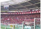 Torinói futballderbi: Elvis vs. Materazzi